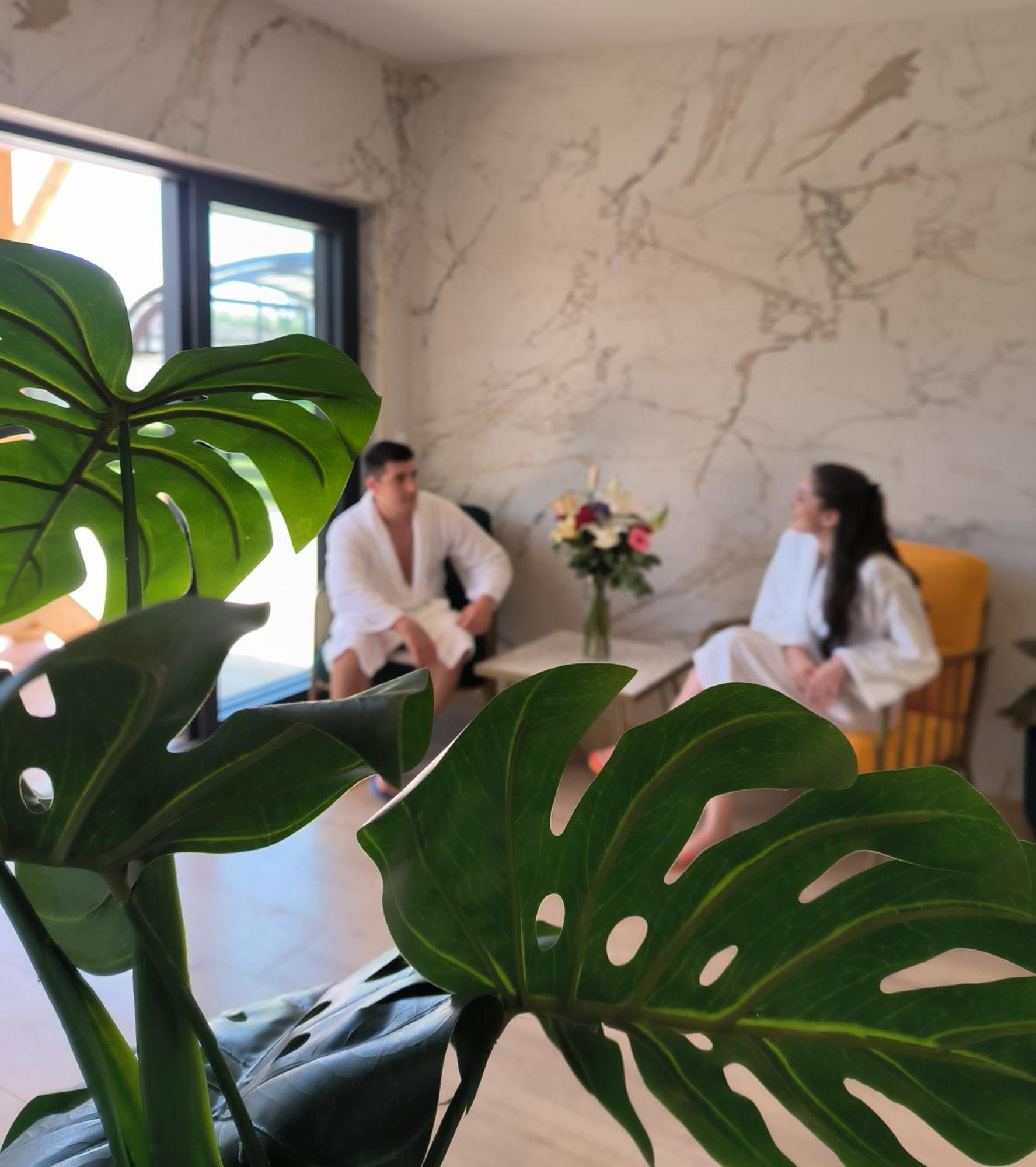 Logis Hotel -Spa-Restaurant Le Saint Antoine Lamarche-Sur-Saone Exterior foto